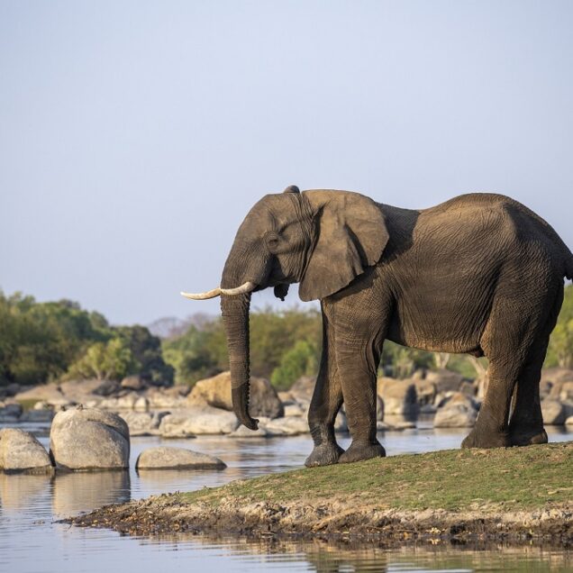 Kafue National Park