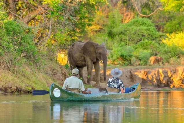 Best of Lower Zambezi Safari at Royal Zambezi Lodge