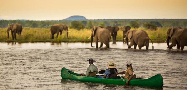 Lower Zambezi