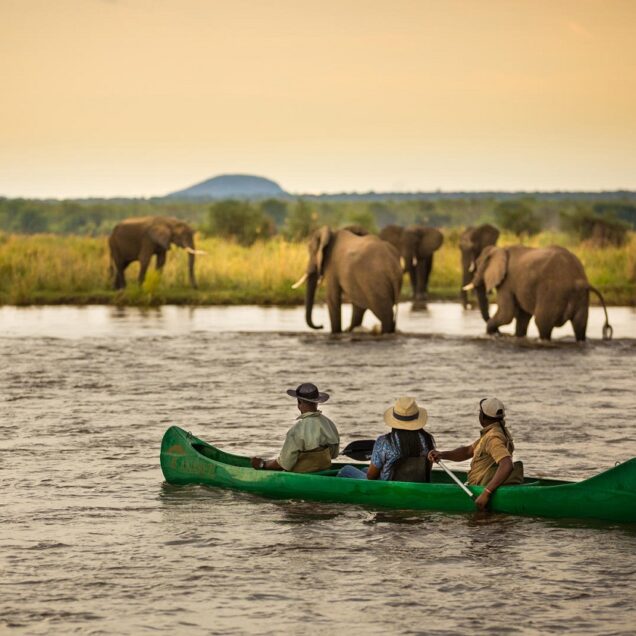 Lower Zambezi