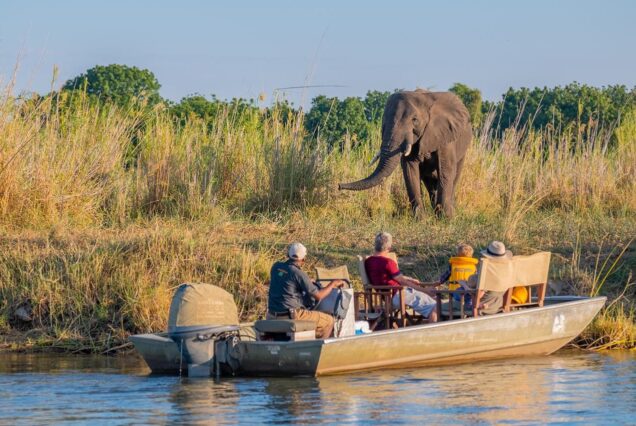 Lower Zambezi Luxury Safari, Zambia