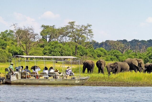 Chobe Day Trip Safari