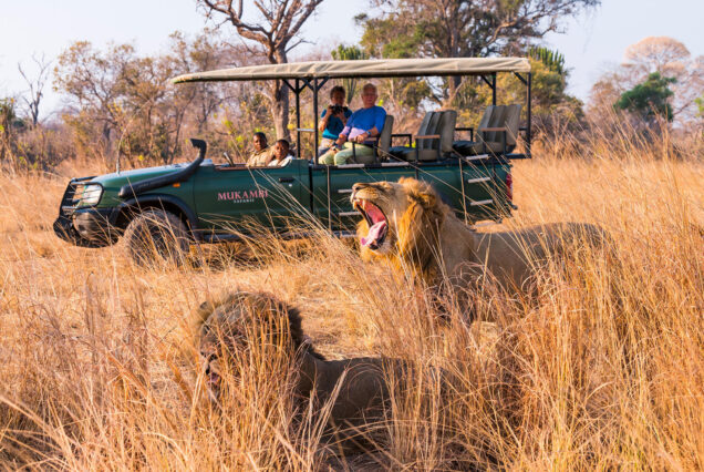 Full Kafue National Park Safari Experience – Zambia